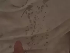 hornyalphaman86