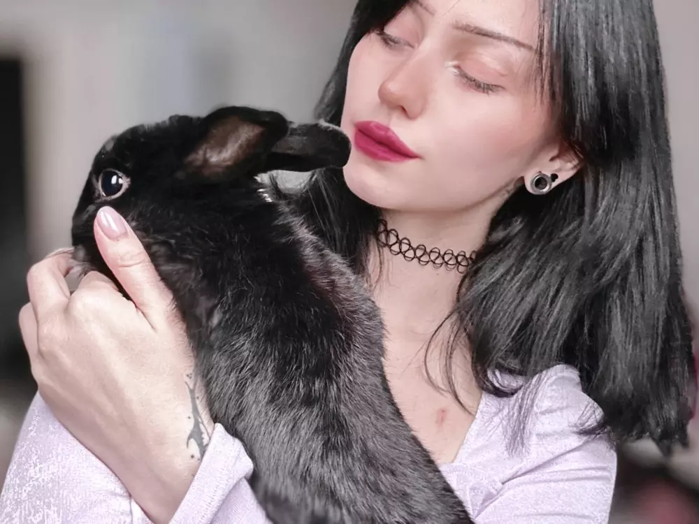 alysonbunny