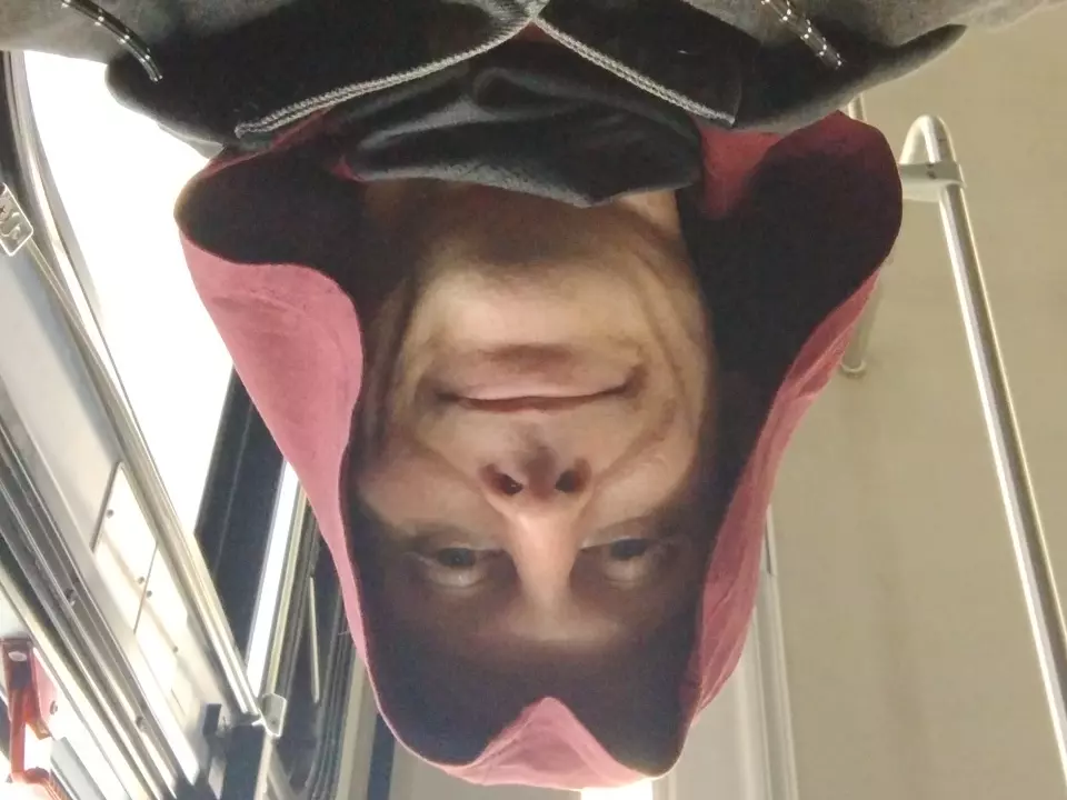 izaakobsidian
