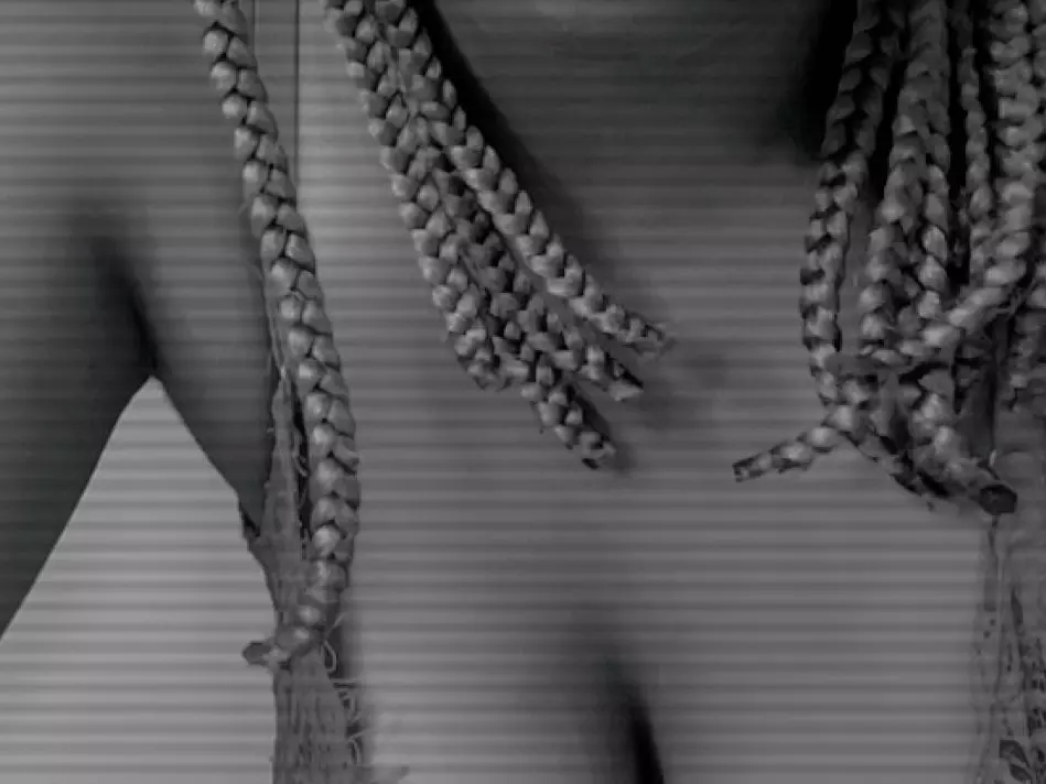 hornyriri