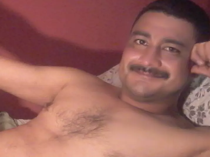 stiffaveragedick