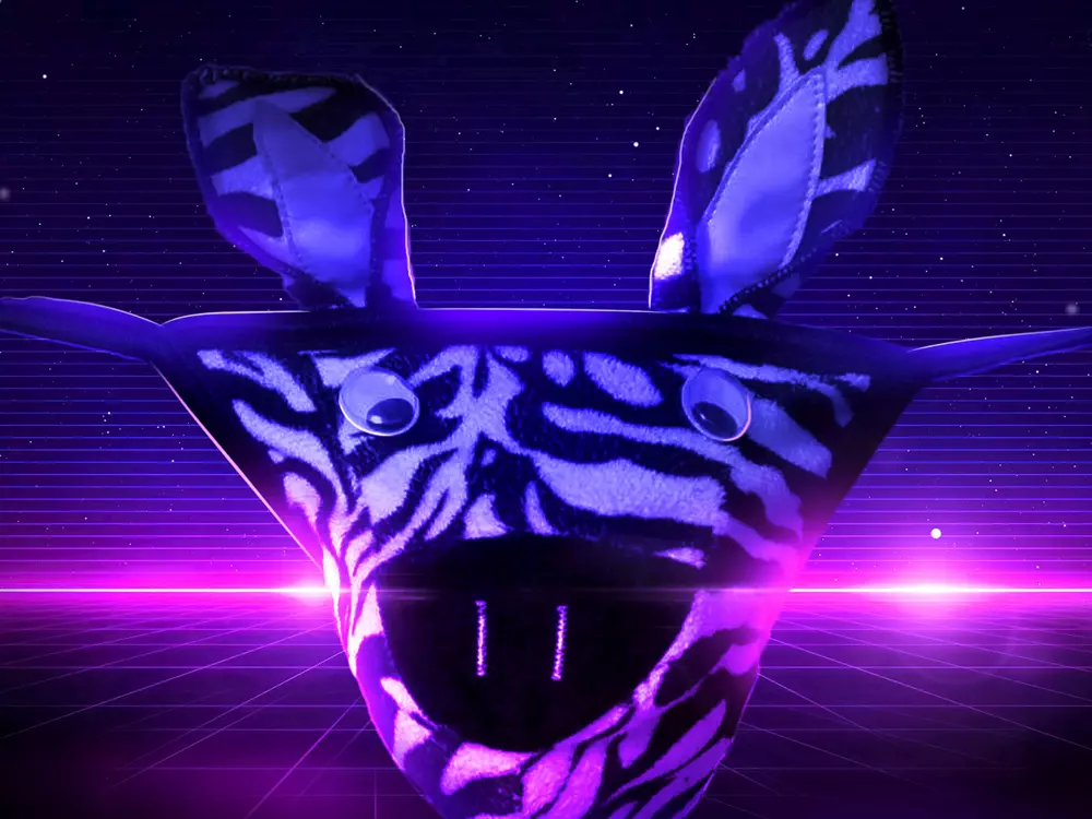 happyzebra13