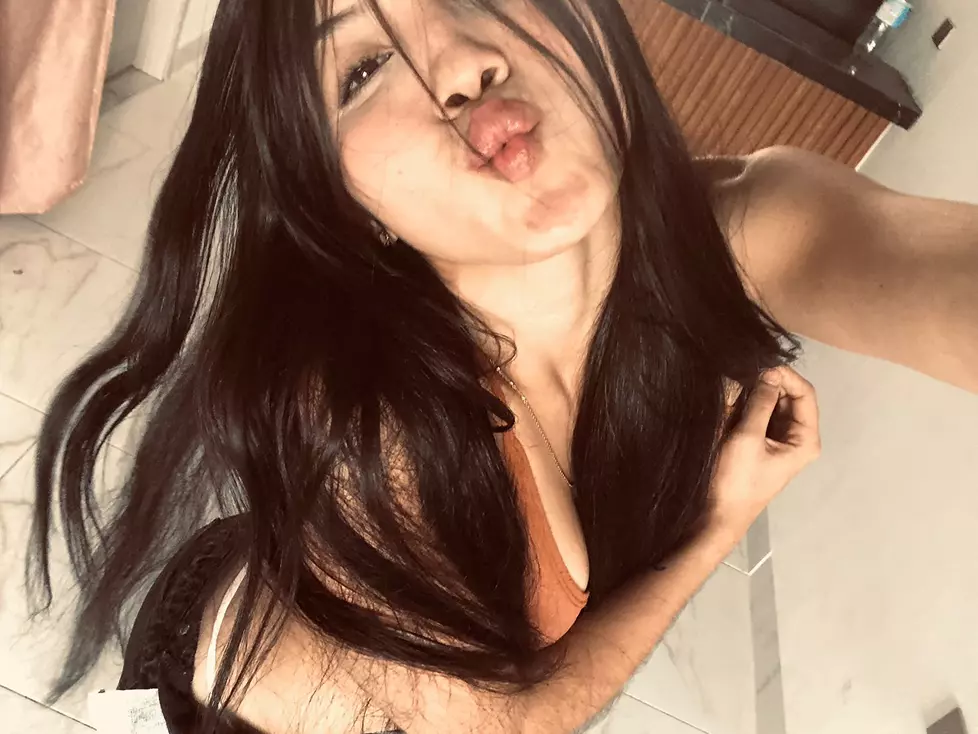 gatitamimosita