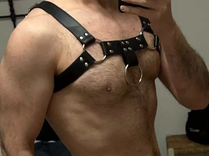 hairyarabbear