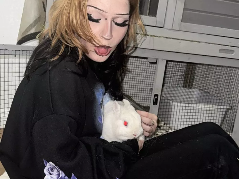 littlesnowbnny