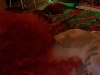 heidicox's Live Sex Cam Show