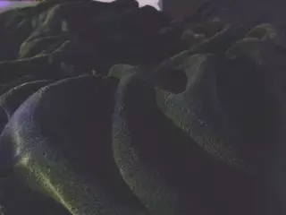 CrazySexyCool's Live Sex Cam Show