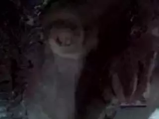 diaamond's Live Sex Cam Show