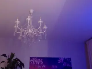 STRIPIRELLA's Live Sex Cam Show
