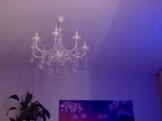STRIPIRELLA's Live Sex Cam Show