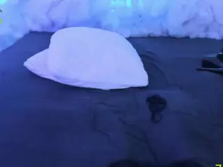 Lisha's Live Sex Cam Show