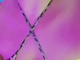 Lisha's Live Sex Cam Show