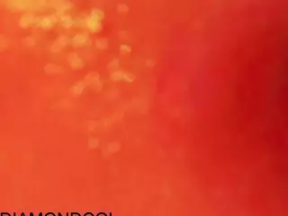 nycdiamond's Live Sex Cam Show