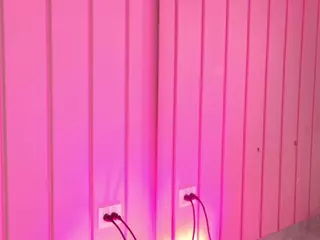 Juliana's Live Sex Cam Show