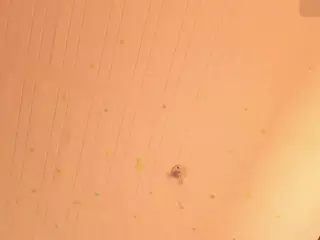 Roxye Jordan's Live Sex Cam Show
