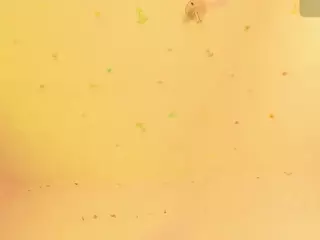 Roxye Jordan's Live Sex Cam Show