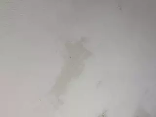 kendalljoy's Live Sex Cam Show