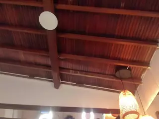 thebigpam's Live Sex Cam Show