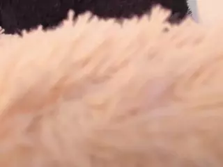 linda_miller's Live Sex Cam Show