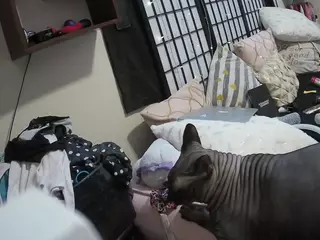 voyeurcam sheenarose 01's Live Sex Cam Show