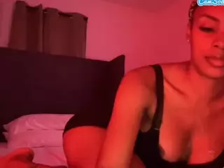 CSD's Live Sex Cam Show