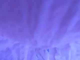 BIANCA BABY's Live Sex Cam Show