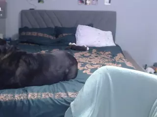 directgirl's Live Sex Cam Show