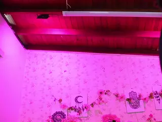 mssburbuja's Live Sex Cam Show
