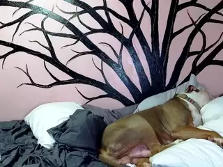 1800fu's Live Sex Cam Show