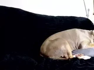1800fu's Live Sex Cam Show