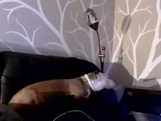 1800fu's Live Sex Cam Show