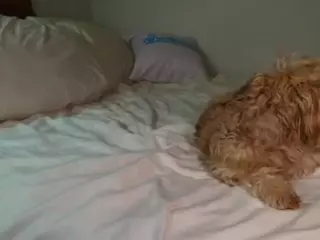 MARGO MAC's Live Sex Cam Show