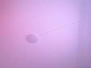 Salome's Live Sex Cam Show