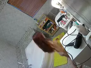 Julmodels Bathroom 1st Floor-2's Live Sex Cam Show