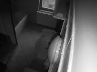 Julmodels Bathroom 2nd Floor-2's Live Sex Cam Show