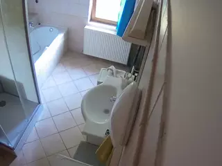 Julmodels Bathroom 2nd Floor-2's Live Sex Cam Show