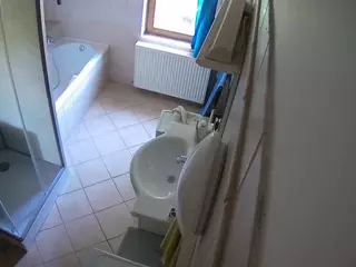 Julmodels Bathroom 2nd Floor-2's Live Sex Cam Show