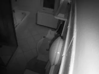 Julmodels Bathroom 2nd Floor-2's Live Sex Cam Show