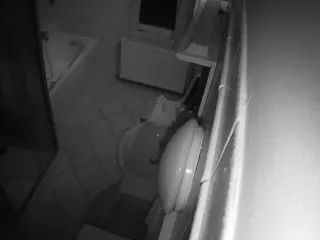 Julmodels Bathroom 2nd Floor-2's Live Sex Cam Show