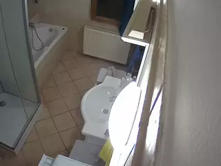 Julmodels Bathroom 2nd Floor-2's Live Sex Cam Show