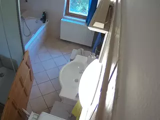 Julmodels Bathroom 2nd Floor-2's Live Sex Cam Show