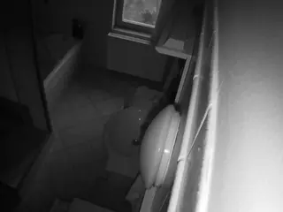 Julmodels Bathroom 2nd Floor-2's Live Sex Cam Show