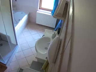 Julmodels Bathroom 2nd Floor-2's Live Sex Cam Show