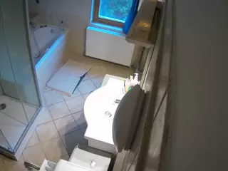 Julmodels Bathroom 2nd Floor-2's Live Sex Cam Show