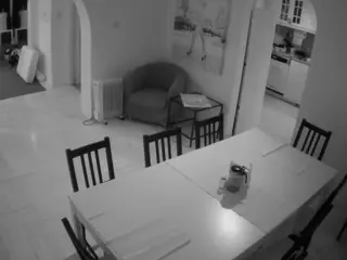 Julmodels Dining Room's Live Sex Cam Show