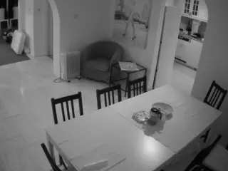 Julmodels Dining Room's Live Sex Cam Show