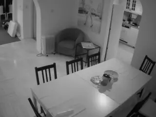 Julmodels Dining Room's Live Sex Cam Show