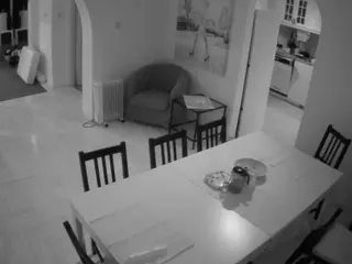 Julmodels Dining Room's Live Sex Cam Show