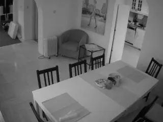 Julmodels Dining Room's Live Sex Cam Show