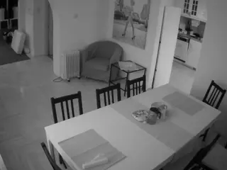 Julmodels Dining Room's Live Sex Cam Show